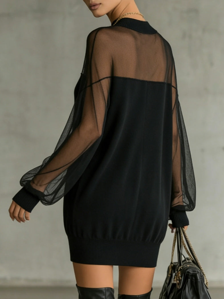 Midnight Sheer Mesh Mini Dress