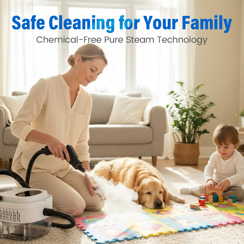 PowerSteam Pro Cleaner